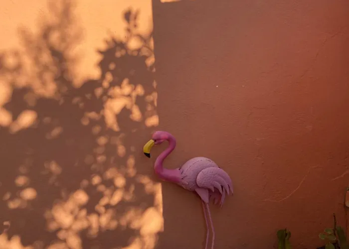 Domo De Natalina Olbia